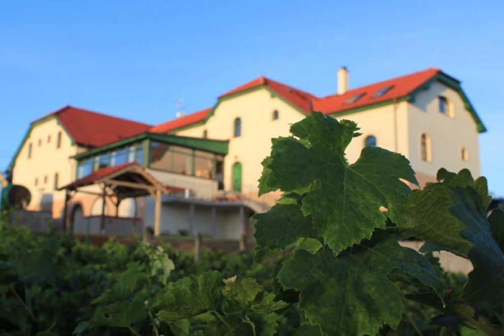Hotel Vinohrad Milotice Eksteriør billede
